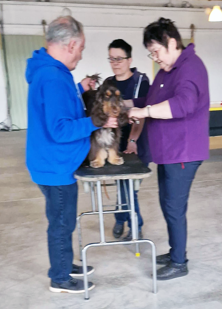 Duke beim Ringtrainig 14.3.2026 Glauchau der LG Mitte-Ost im SCD