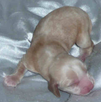 Spike am 5.3.2011, 1 Tag alt