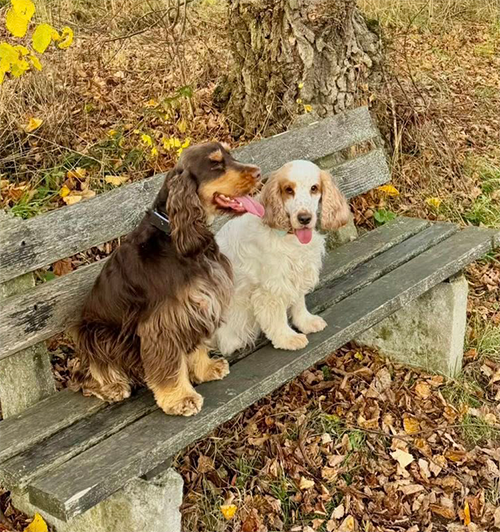 Duke Ellington + Maite vom Nikolausberg