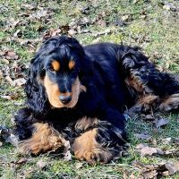 Stella beim Pause machen